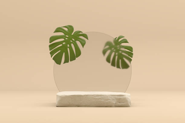 istock Abstract Podium, Rock Stone Platform, Monstera, Minimal Product Presentatiton 1325742193