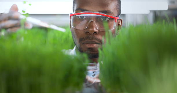 istock scientist makes analysis of plants. 1325743526