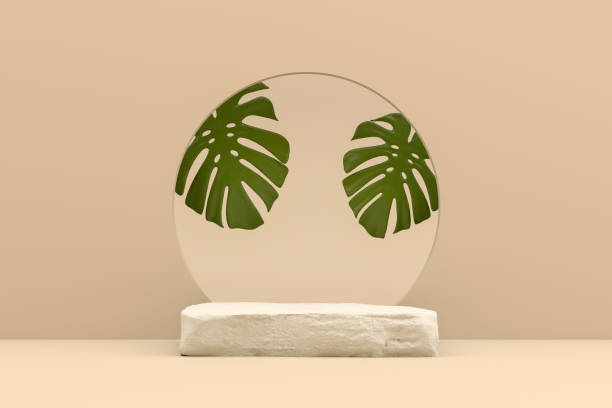 istock Abstract Podium, Rock Stone Platform, Monstera, Minimal Product Presentatiton 1325743551