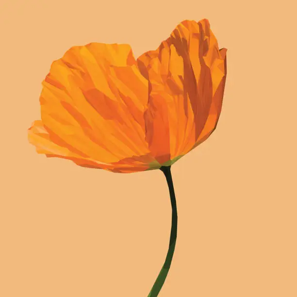Vector illustration of Low Poly, illustration of an orange poppy