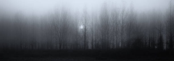 istock Spooky dark misty winter landscape 1325744880