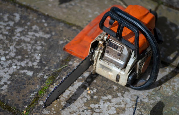 a hand tool for cutting wood or other materials, typically with a long, thin serrated steel blade
