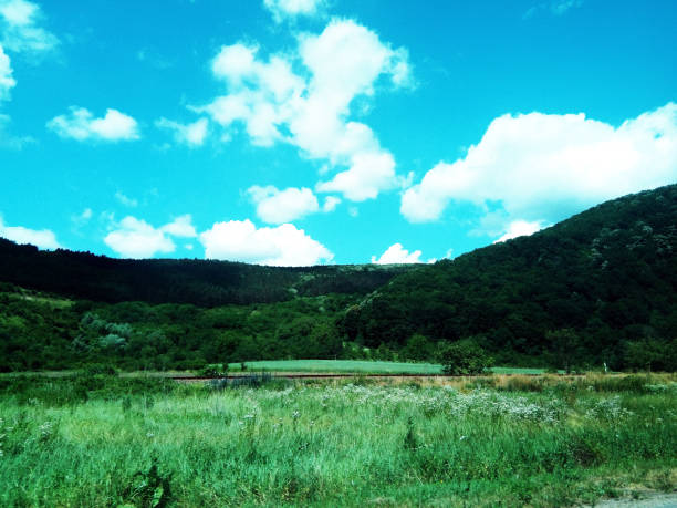 green hills in the summer - Romania
