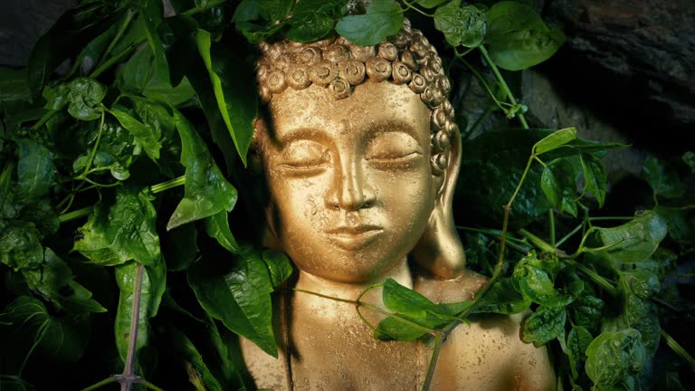 Gold Buddha Statue Revealed Behind Jungle Plants