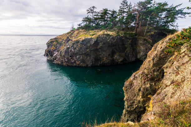 Pacific Northwest US Landscape