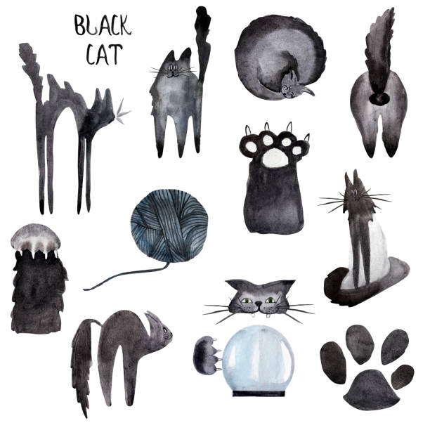 Black cat watercolor elements set Black cat watercolor elements set. Template for decorating designs and illustrations. sleeping cow stock illustrations