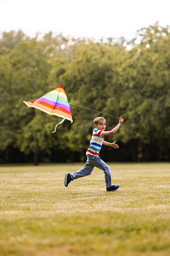 Playful boy having fun while running with a kite on the meadow and looking at camera