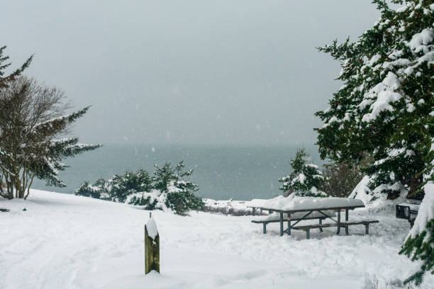 Snow blankets the beach on Whidbey Island after winter snowstorm