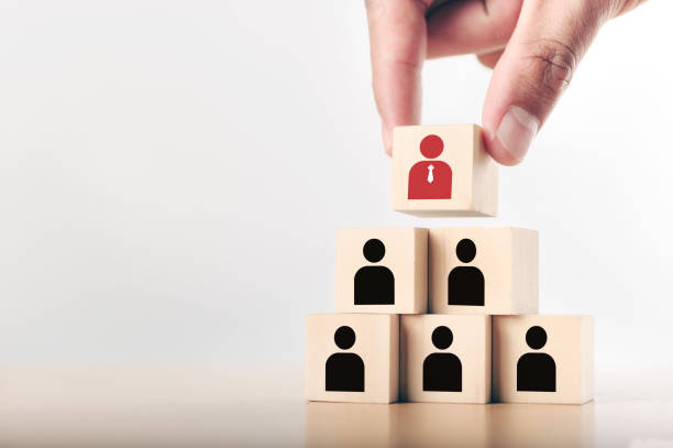 istock Human resource management and recruitment business concept, Copy space. Hand putting wood cube block on top pyramid,  and leadership of manager concept. 1325757088