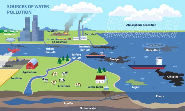 Sources of water pollution Sources of water pollution and freshwater contamination causes. Human economic activity as the main source of pollution. Educational banner. Flat cartoon vector illustration freshwater illustrations stock illustrations