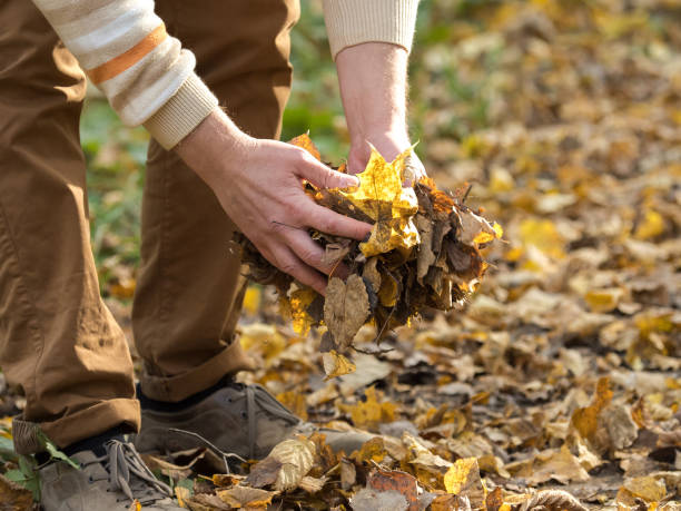 istock Hands holding fallen autumn leaves 1325759289