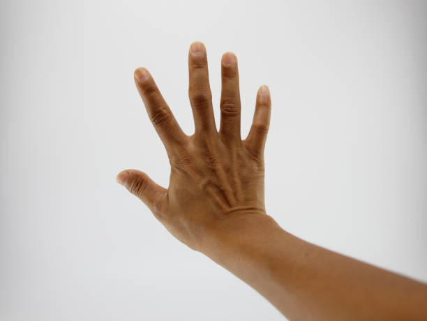 istock Set of woman hands 1325760539