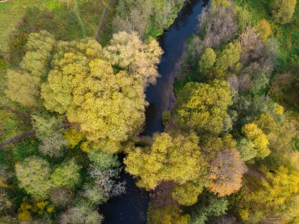 istock Aerial drone view of autumn forest and small river 1325762440