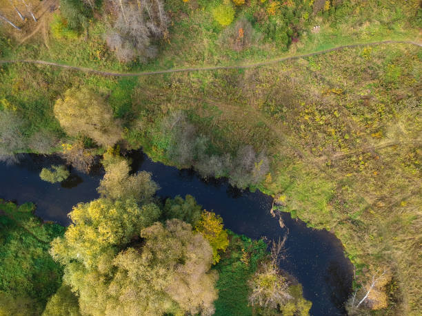 istock Aerial drone view of autumn forest and small river 1325762473