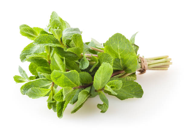istock Bunch of mint isolated on white background 1325762478