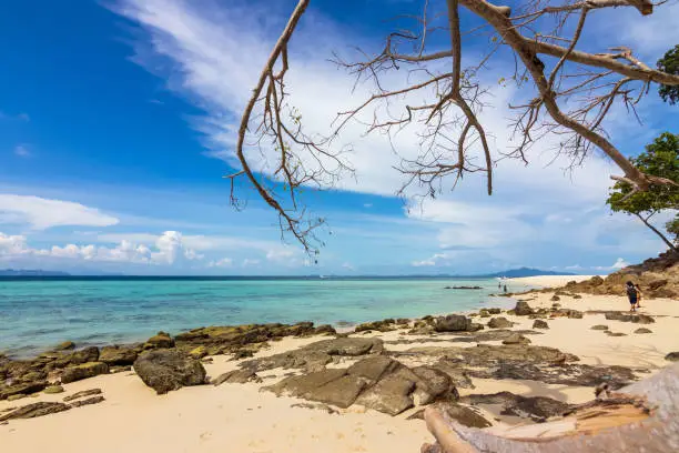 Beautiful white sand beach with blue sky and turquoise sea of Bamboo island or Koh Mai Pai. Phi Phi island national park in Krabi, Thailand.