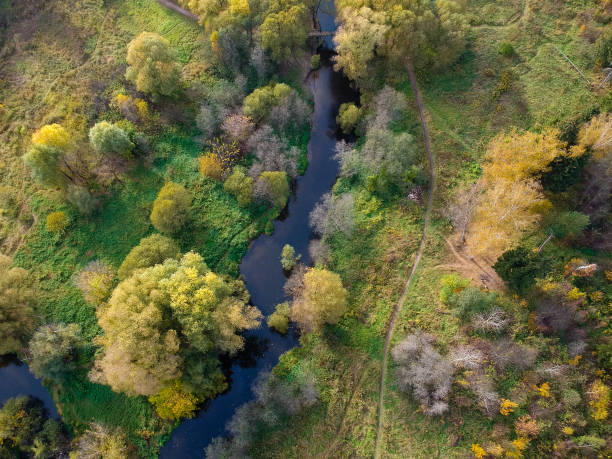 istock Aerial drone view of autumn forest and small river 1325762513