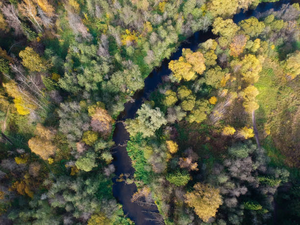 istock Aerial drone view of autumn forest and small river 1325762565
