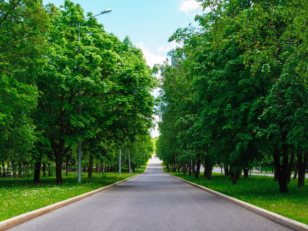 istock long walking path in the park in summer 1325766570