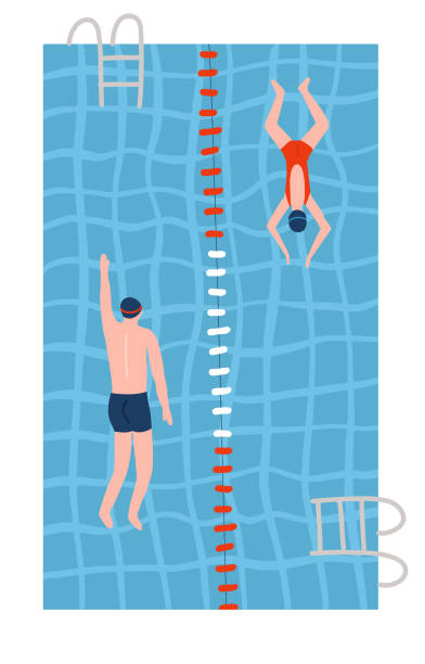 ilustrações de stock, clip art, desenhos animados e ícones de people in swimsuits swiming in the pools. swimming pool top view flat vector illustration. male and female athletes go in for sports. - blue water swimming pool sports and fitness