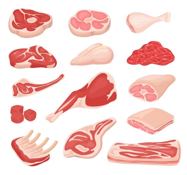 漫画の新鮮な肉。生の牛肉、ラムレッグ、ステーキ、豚の肋骨のラック、ひき肉、ベーコン。バラエティークッキングファーム製品成分ベクターセット - fillet点のイラスト素材／クリップアート素材／マンガ素材／アイコン素材