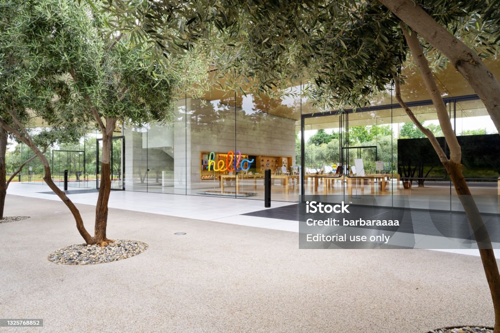 Apple Visitor Center A Glass And Wood Building Surrounded By Olive Trees  Housing Apple Store 3d Model Of The Apple Campus And A Coffee Bar Stock  Photo - Download Image Now - iStock