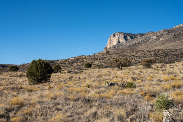 istock El Capitan Rises Above the Desert Valley Floor 1325769716
