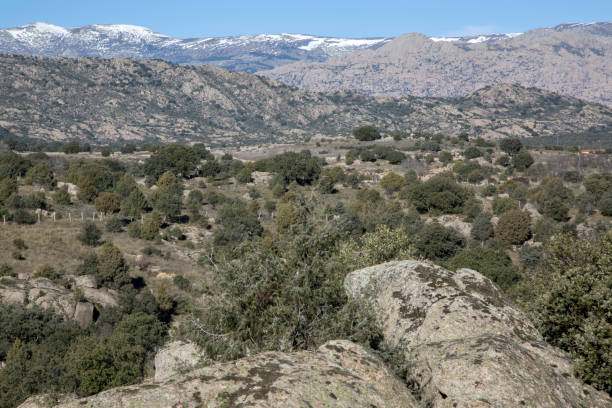 istock Guadarrama National Park; Madrid 1325769797