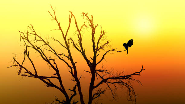 istock Silhouette of bare tree and bird 1325770107