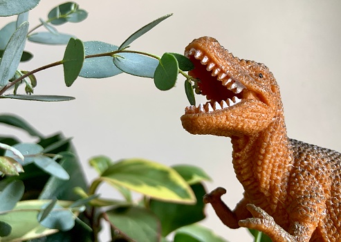 Toy dinosaur eating house plants