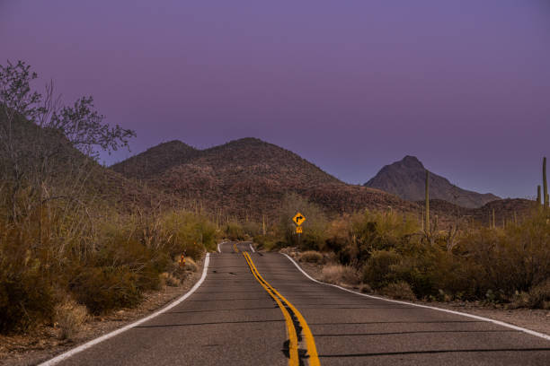 istock Hilly Road Through Saguaro National Park At Sunset 1325770230
