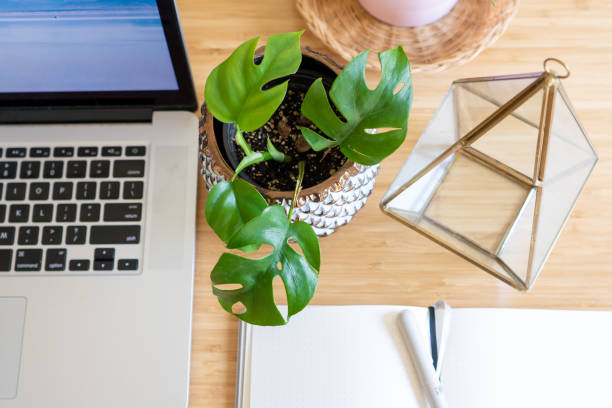 istock Laptop Notebook on Desktop Working From Home 1325771180