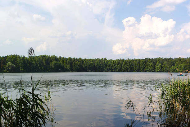 istock a lake in the forest on a hot summer day 1325772556