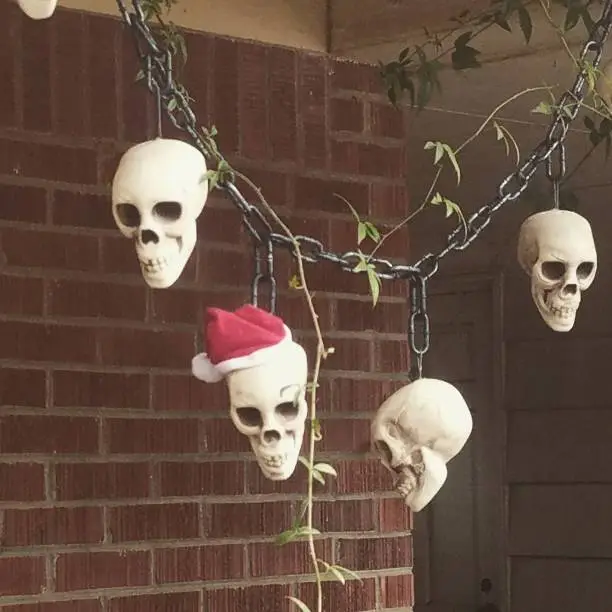Photo of Christmas skeletons