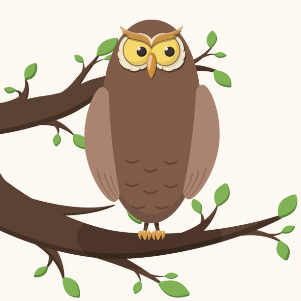 wektor prosta izolowana ilustracja. postać z kreskówki sowa lub sowa orzeł siedzi na gałęzi drzewa z liśćmi. ptak z dużymi oczami i dziobem. - owl clover stock illustrations