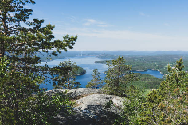 istock Beautiful Swedish landscape 1325778235