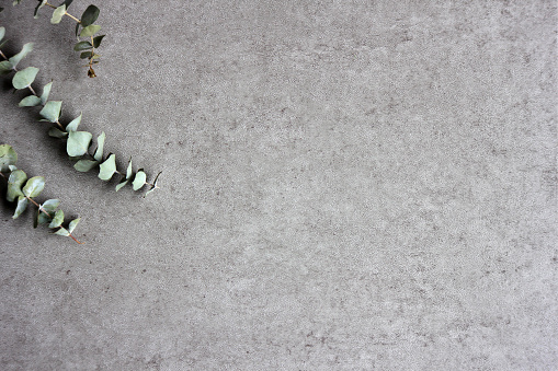 A concrete back drop with dried plants and room for your text/image.