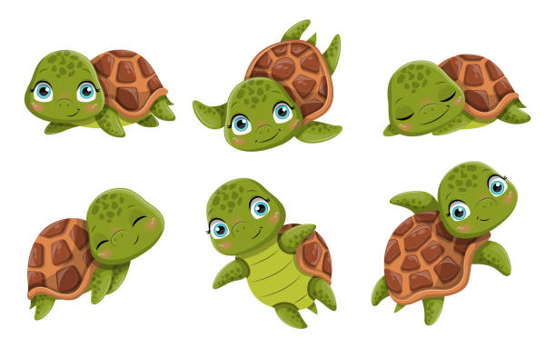 31 Turtle Cartoon Hiding In His Shell Illustrations & Clip Art - iStock