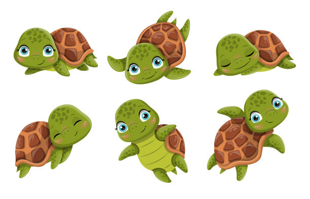 31 Turtle Cartoon Hiding In His Shell Illustrations & Clip Art - iStock 31 Turtle Cartoon Hiding In His Shell Illustrations & Clip Art - iStock