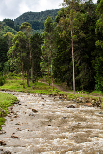 Piedras river basin, La Ceja, Antioquia - Colombia.