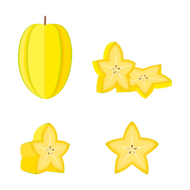 ilustraciones, imágenes clip art, dibujos animados e iconos de stock de carambola (fruta estrella), fruta entera, medias y rodajas, ilustración vectorial - carambola o carambola averrhoa carambola en el árbol