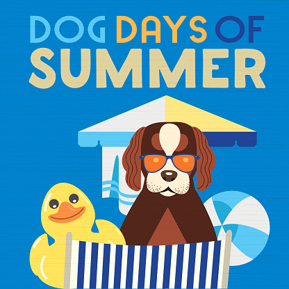Dog days of Summer Time for adventure. Cute comic vector cartoon in humor retro style. Canine in sunglasses enjoy beach leisure relax rest. Summertime fun vacation journey banner background template