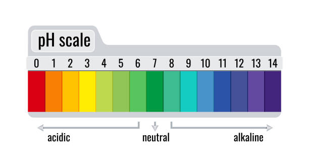 pH value scale chart meter for acid and alkaline solutions isolated on white background. pH value scale chart meter for acid and alkaline solutions isolated on white background. Paper test strips on plate - acid and base balance litmus indicator infographic. Flat vector illustration. soil tester stock illustrations