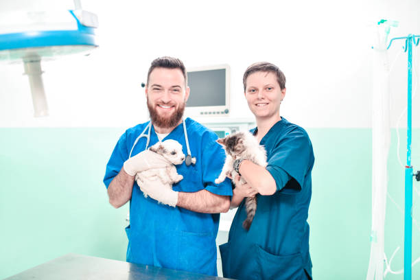 istock Smiling Vets Caring For Puppy And Kitten 1325787365