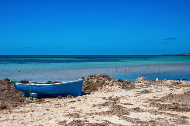 Wonderful views of the Mediterranean coast with birch water, white sand beach and a fishing boat Seascape. Wonderful views of the Mediterranean coast with birch water, white sand beach and a fishing boat. Djerba Island, Tunisia djerba stock pictures, royalty-free photos & images
