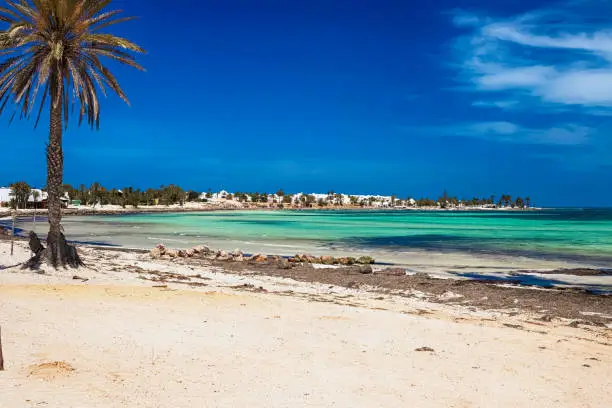 Seascape. A beautiful view of the Mediterranean coast with birch water, a beach with white sand and a green palm tree. Djerba Island, Tunisia