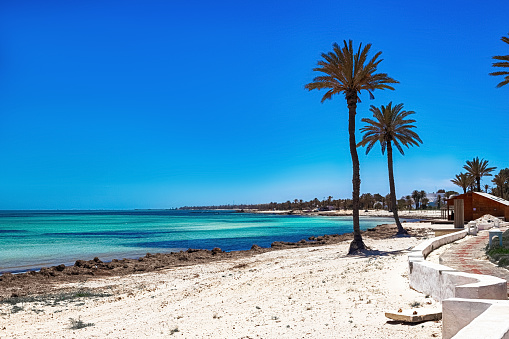 Seascape. A beautiful view of the Mediterranean coast with birch water, a beach with white sand and a green palm tree. Djerba Island, Tunisia