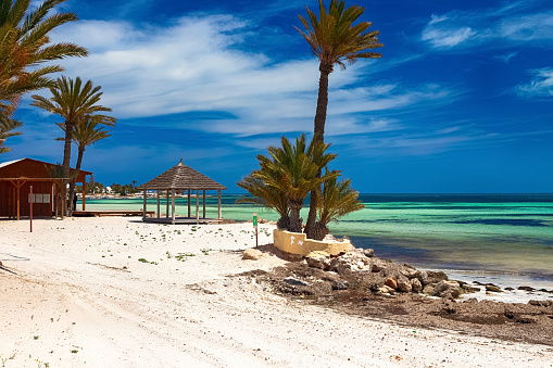 Una hermosa vista de la costa mediterránea con agua de abedul, una playa de arena blanca y una palmera verde. photo
