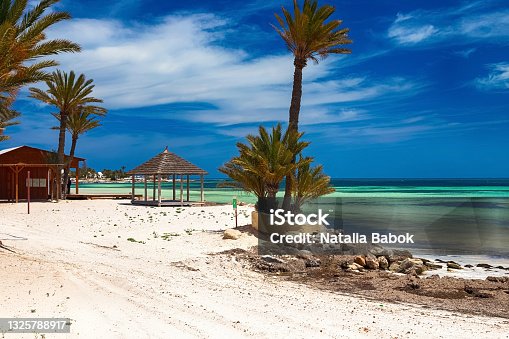 istock A beautiful view of the Mediterranean coast with birch water, a beach with white sand and a green palm tree. 1325788917