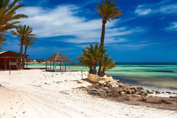 A beautiful view of the Mediterranean coast with birch water, a beach with white sand and a green palm tree. Seascape. A beautiful view of the Mediterranean coast with birch water, a beach with white sand and a green palm tree. Djerba Island, Tunisia djerba stock pictures, royalty-free photos & images